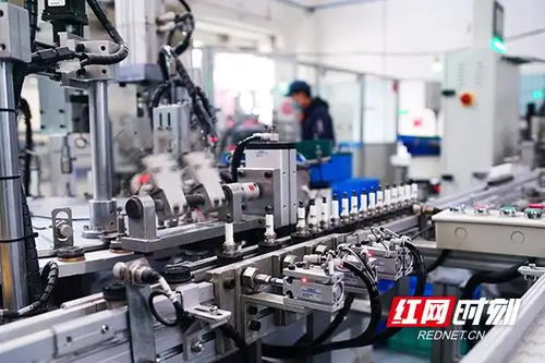 红观株洲丨株洲中小企业数字化转型 从试点破局到生态重构的进阶之路